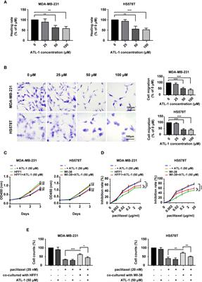 Atractylenolide-I Sensitizes Triple-Negative Breast Cancer Cells to Paclitaxel by Blocking CTGF Expression and Fibroblast Activation